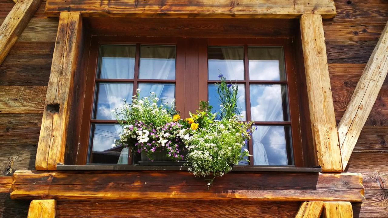 Country House Dovje 外观 照片